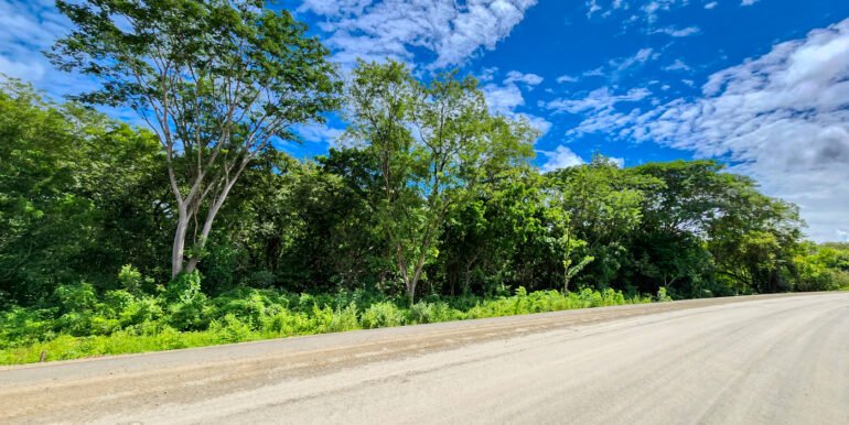 Road to Remanso: Future site of your commercial or residential project. - Image 8