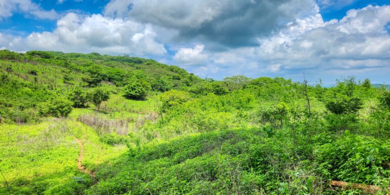 SOLD - 12 Acres Ocean View, Peaceful Hills! - Image 8