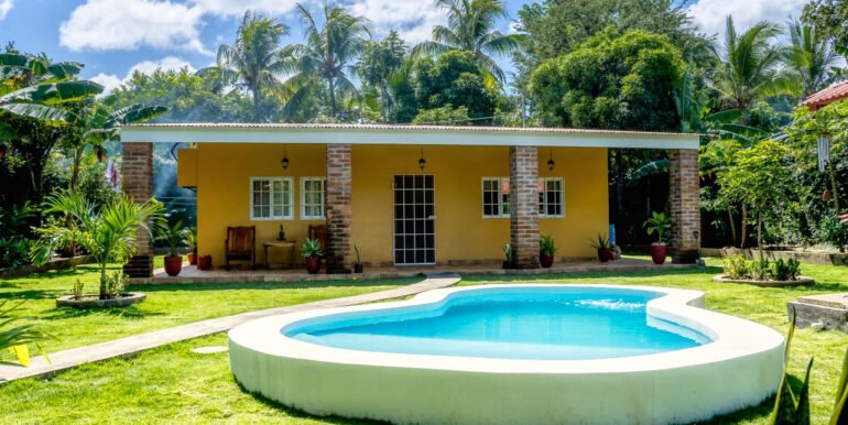 A Home, 100+ Fruit Trees, PLUS a profitable Ukulele Business? - Image 9
