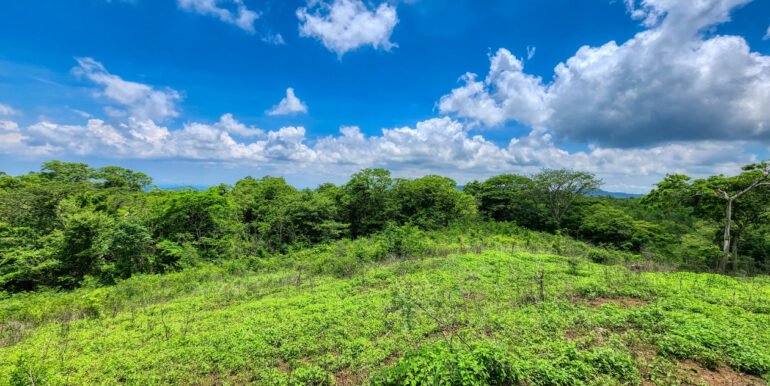 SOLD - 12 Acres Ocean View, Peaceful Hills! - Image 9