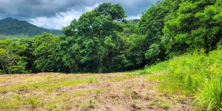 Ocean View Vacant Lot in Villas Oro Lot 12 - Image 9