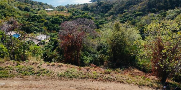 Paradise Bay Panoramic Ocean View 1/2+ Acre Lot - Image 9