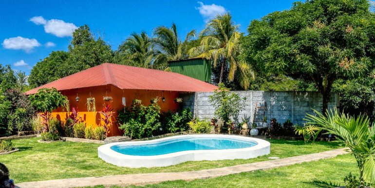 A Home, 100+ Fruit Trees, PLUS a profitable Ukulele Business? - Image 10