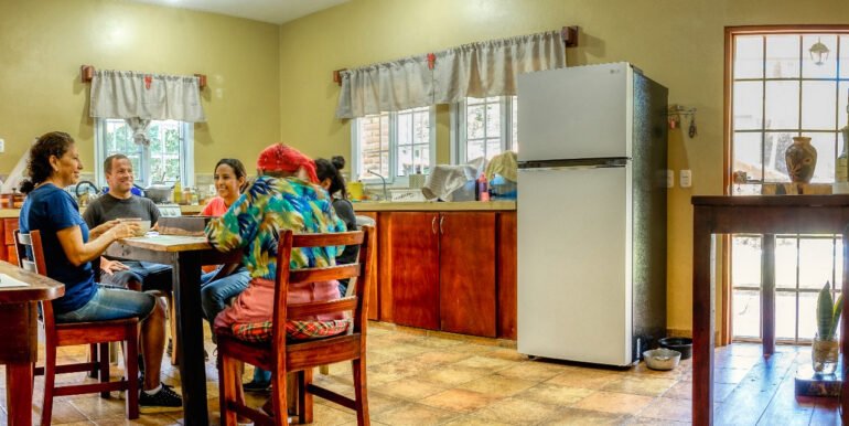 A Home, 100+ Fruit Trees, PLUS a profitable Ukulele Business? - Image 11