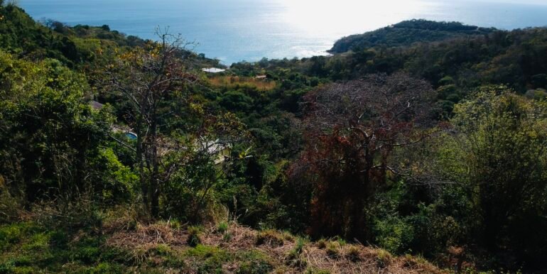 Paradise Bay Panoramic Ocean View 1/2+ Acre Lot - Image 11