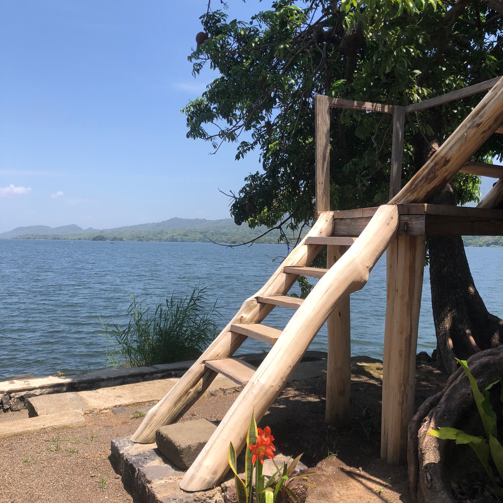 Own a Private Island with a Treehouse Boutique Lodge - Image 33