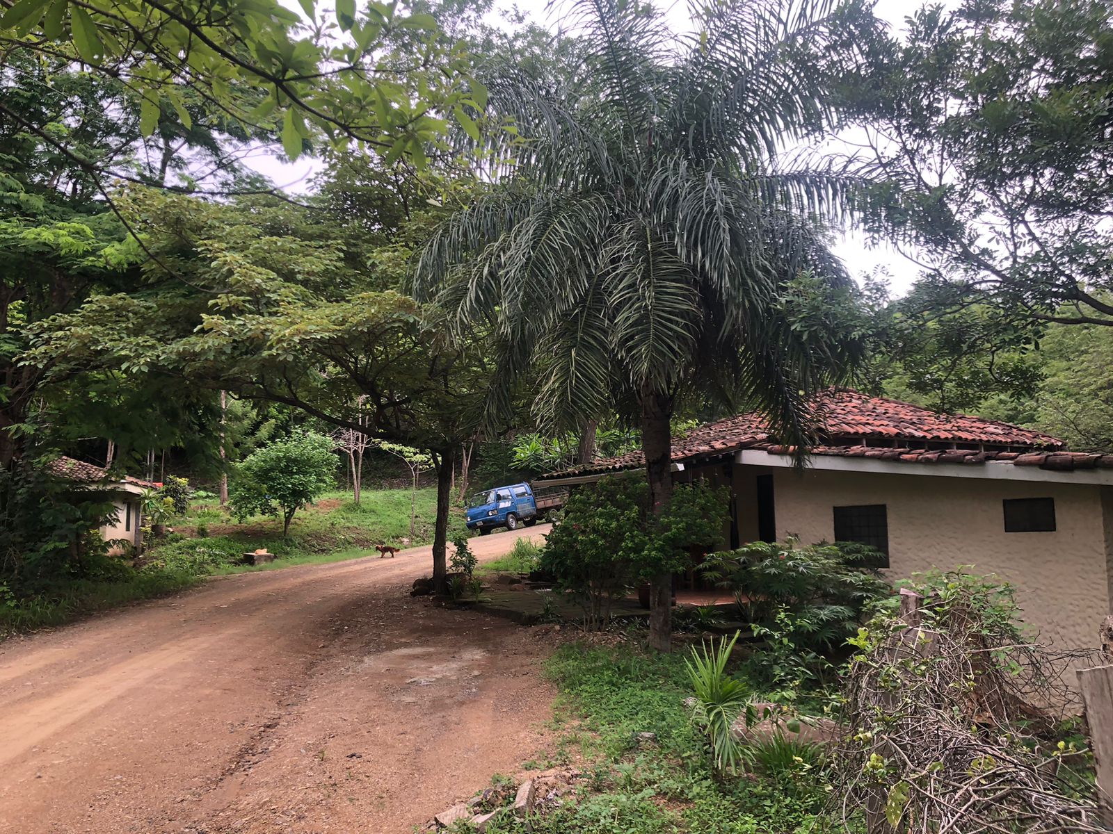 Charming Bungalow in San Juan del Sur - Image 31