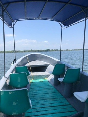 Own a Private Island with a Treehouse Boutique Lodge - Image 28