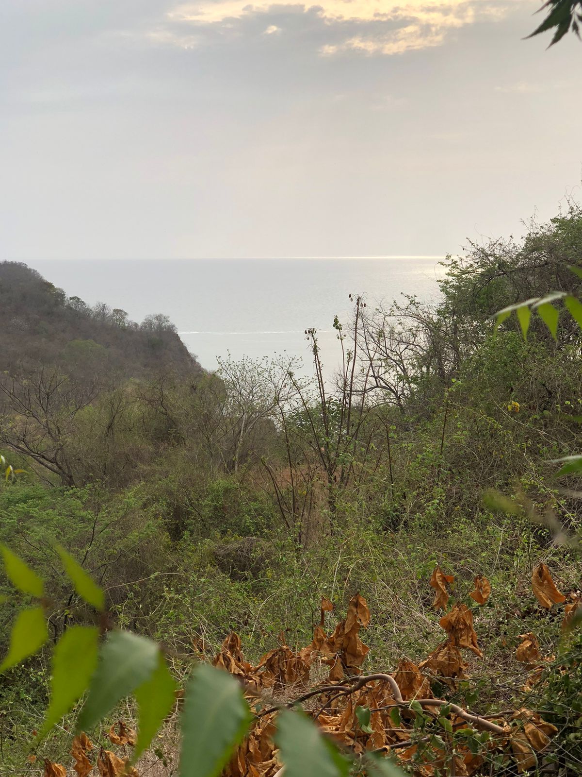 Rare Opportunity Ocean View Lot in Pacific Marlin - Image 2