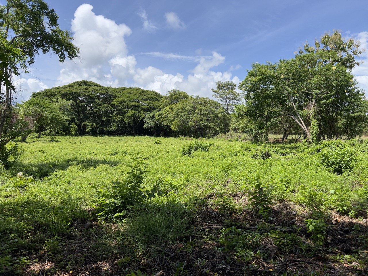 Pan American Highway Commercial Land - Just Outside Rivas - Image 23