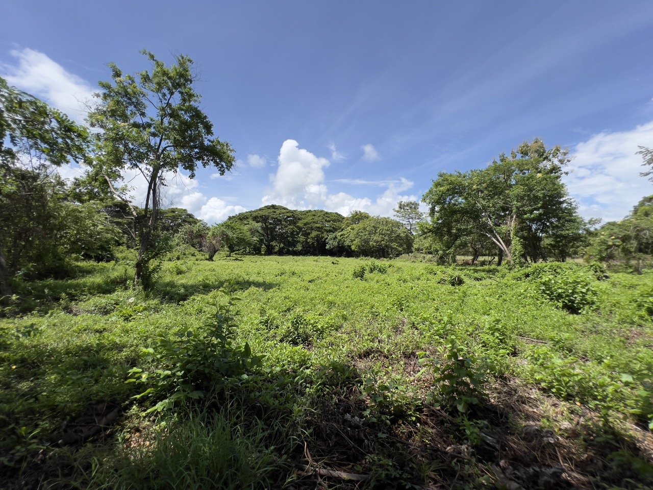Pan American Highway Commercial Land - Just Outside Rivas - Image 21