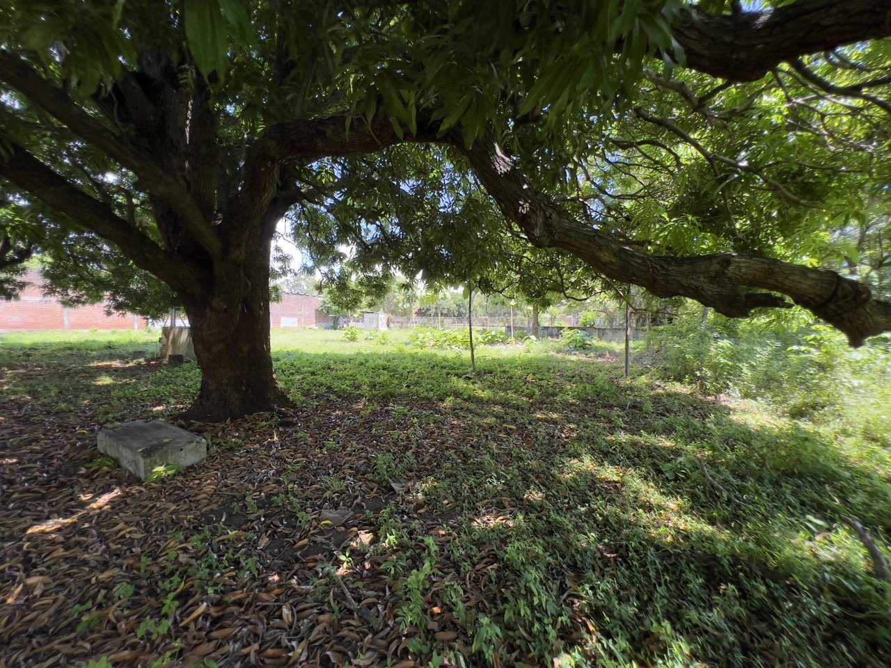 Pan American Highway Commercial Land - Just Outside Rivas - Image 20