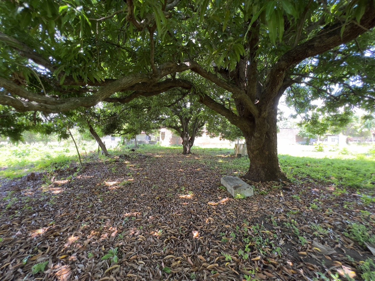 Pan American Highway Commercial Land - Just Outside Rivas - Image 19