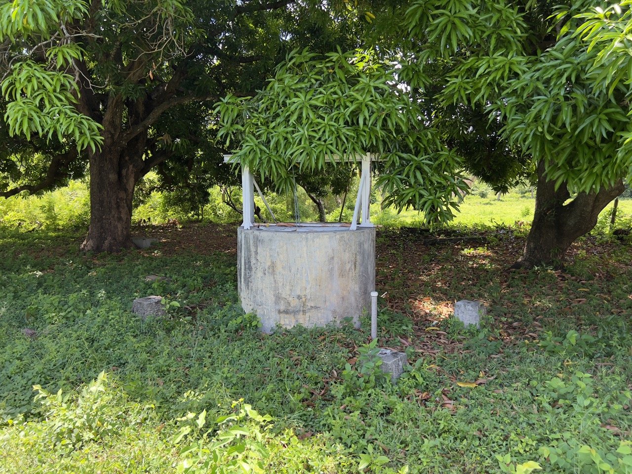 Pan American Highway Commercial Land - Just Outside Rivas - Image 8