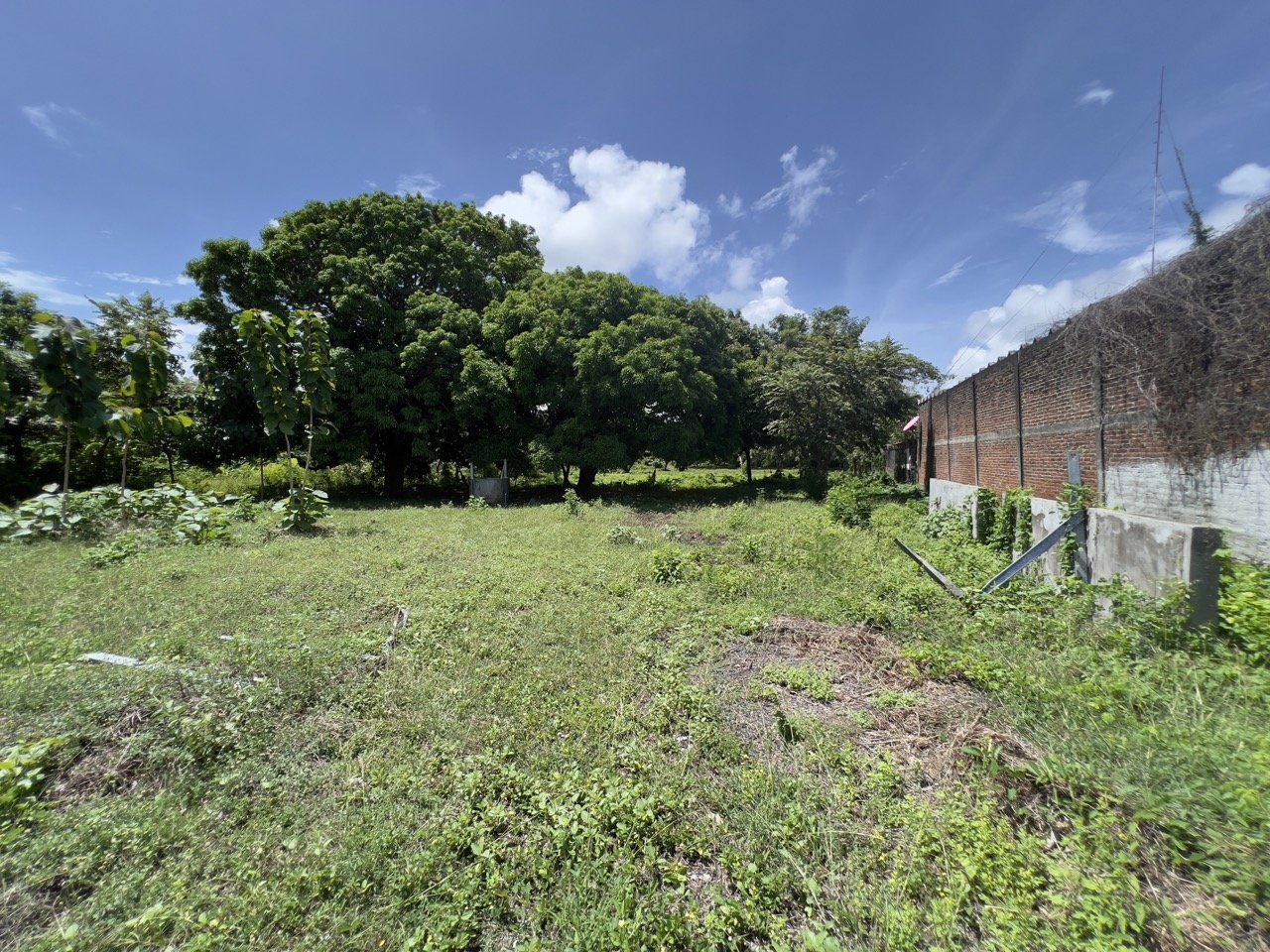 Pan American Highway Commercial Land - Just Outside Rivas - Image 6