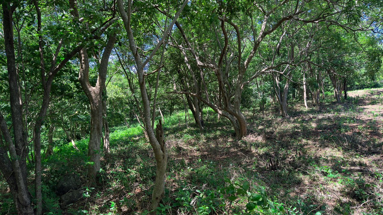 Mountain & Valley View Acreage - Image 8