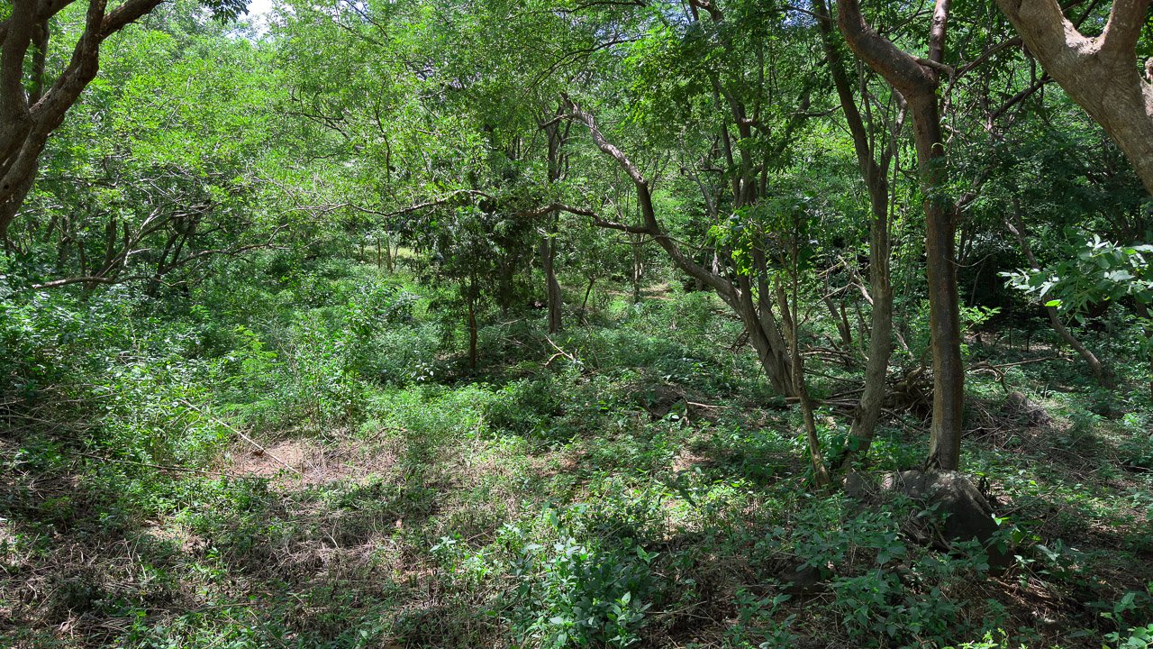 Mountain & Valley View Acreage - Image 9