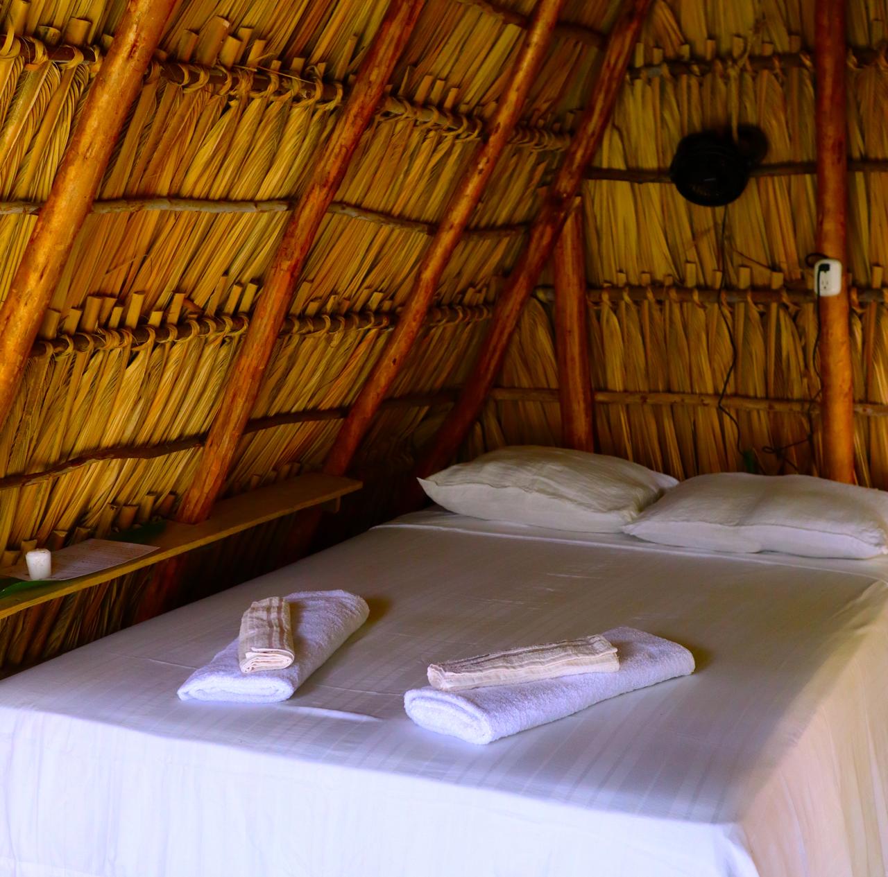 Own a Private Island with a Treehouse Boutique Lodge - Image 7