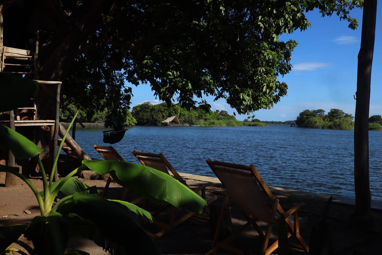 Own a Private Island with a Treehouse Boutique Lodge - Image 15