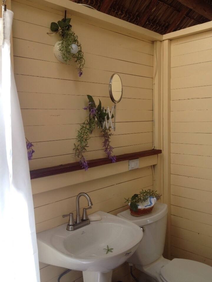 Own a Private Island with a Treehouse Boutique Lodge - Image 23