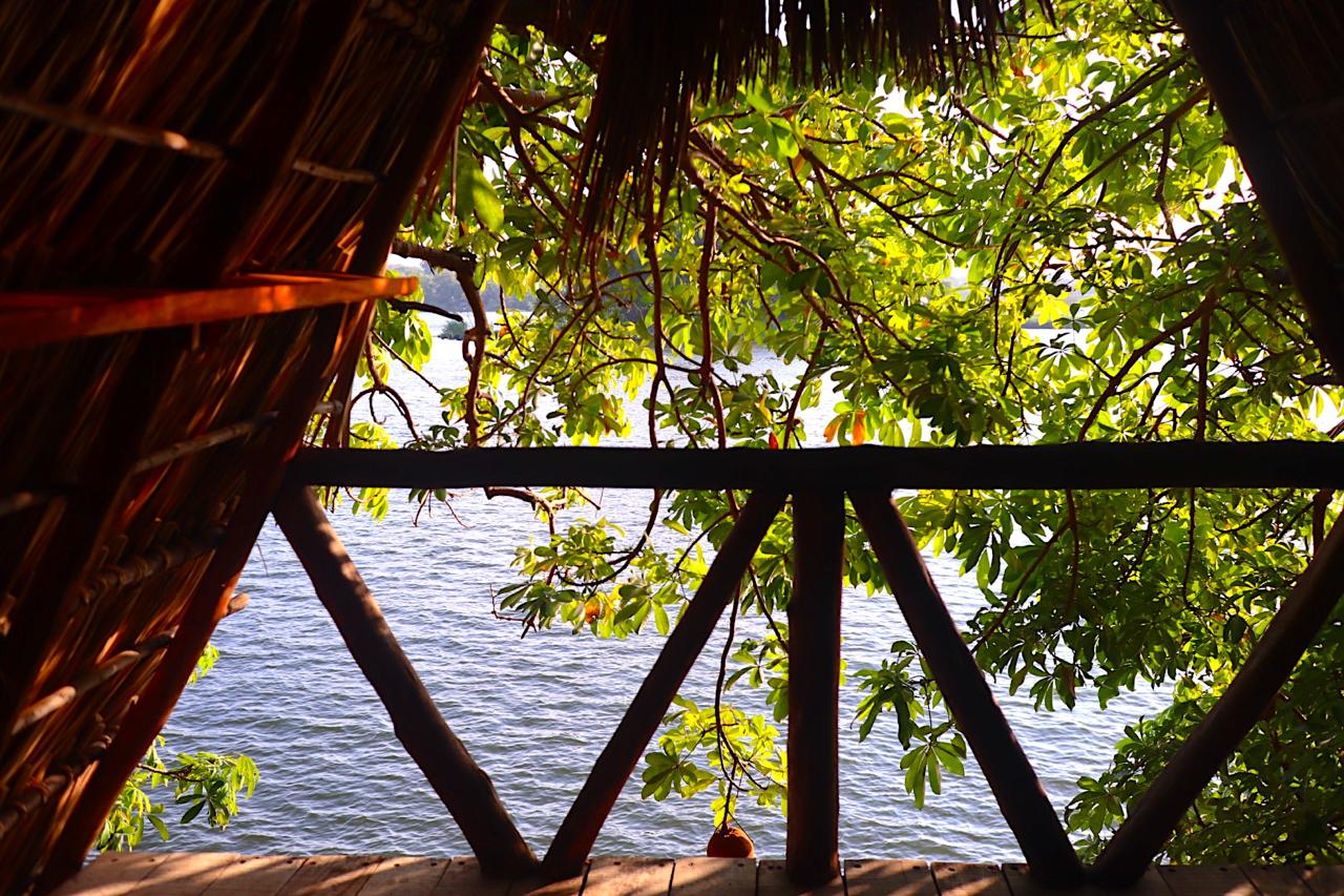 Own a Private Island with a Treehouse Boutique Lodge - Image 6
