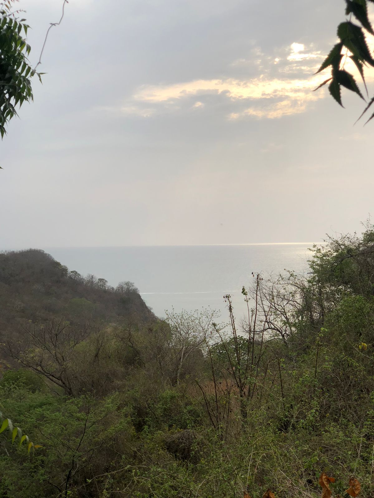Rare Opportunity Ocean View Lot in Pacific Marlin - Image 7