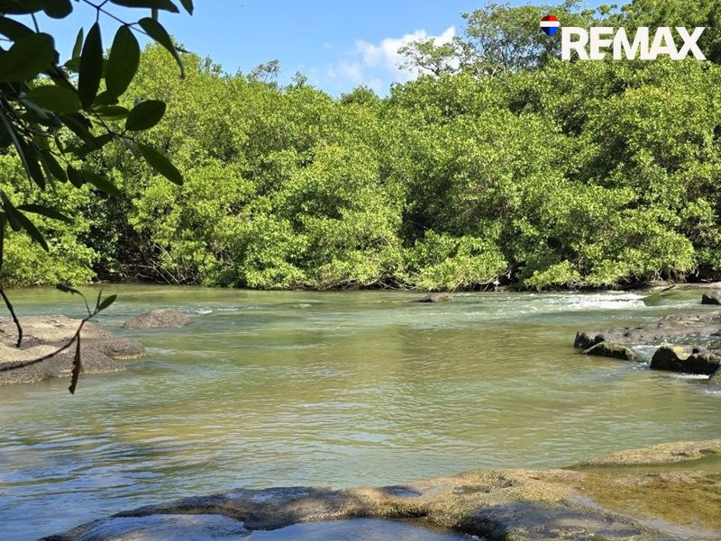 Affordable Beach Lot - Image 14