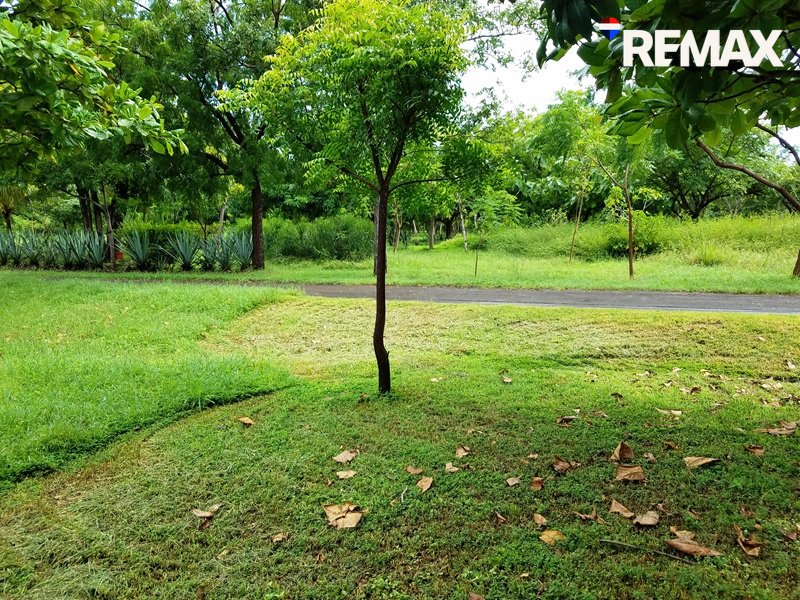 Affordable Beach Lot - Image 4