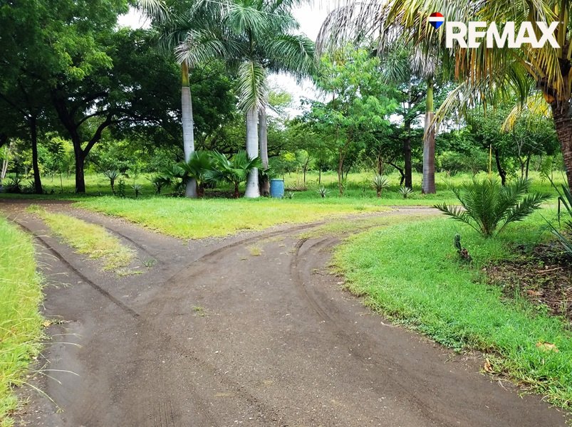Affordable Beach Lot - Image 5