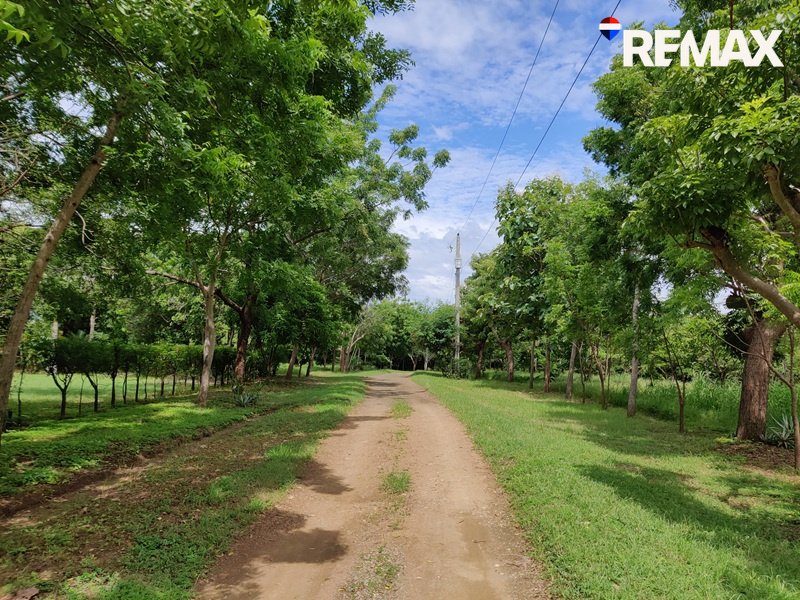 Affordable Beach Lot - Image 6