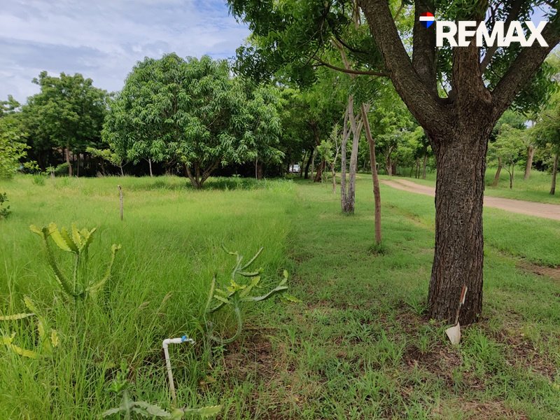 Affordable Beach Lot - Image 8