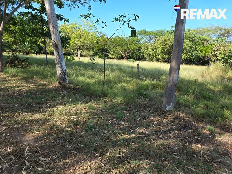 Affordable Beach Lot - Image 9