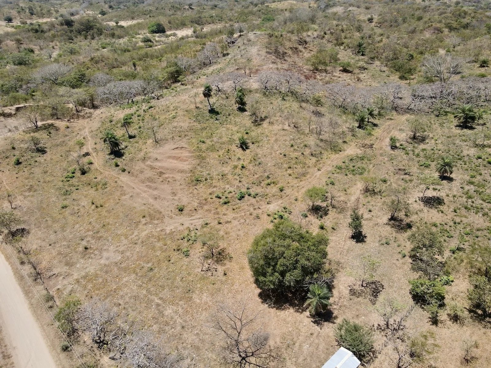 Affordable Farm Acreage in San Juan Del Sur, Nicaragua - Image 10