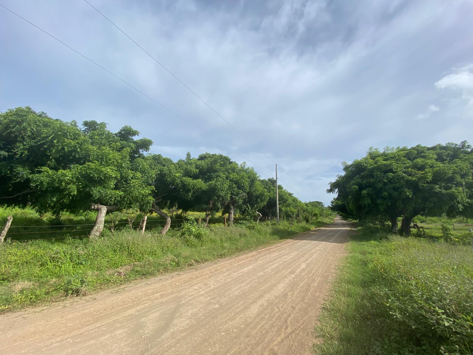 Affordable Farm Acreage in San Juan Del Sur, Nicaragua