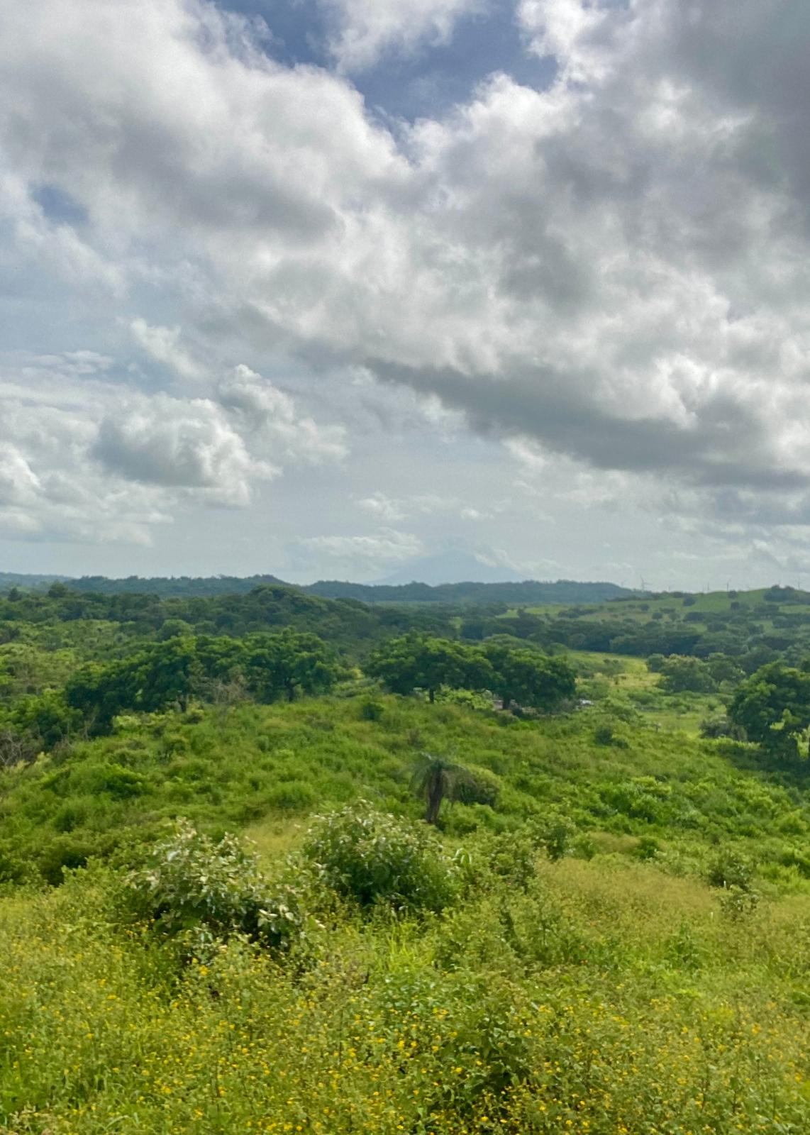 Affordable Farm Acreage in San Juan Del Sur, Nicaragua - Image 2