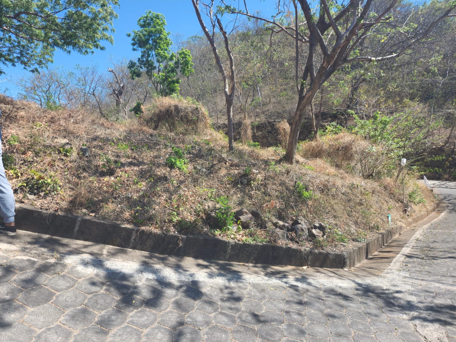 Oceanview Lot Just 5 Minutes from Town at Brisas del Pacifico, San Juan del Sur San Juan del Sur, Rivas, Nicaragua