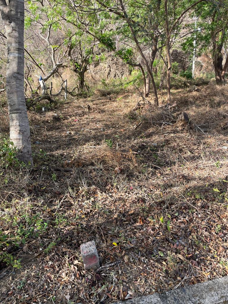 Oceanview Lot Just 5 Minutes from Town at Brisas del Pacifico, San Juan del Sur San Juan del Sur, Rivas, Nicaragua - Image 12