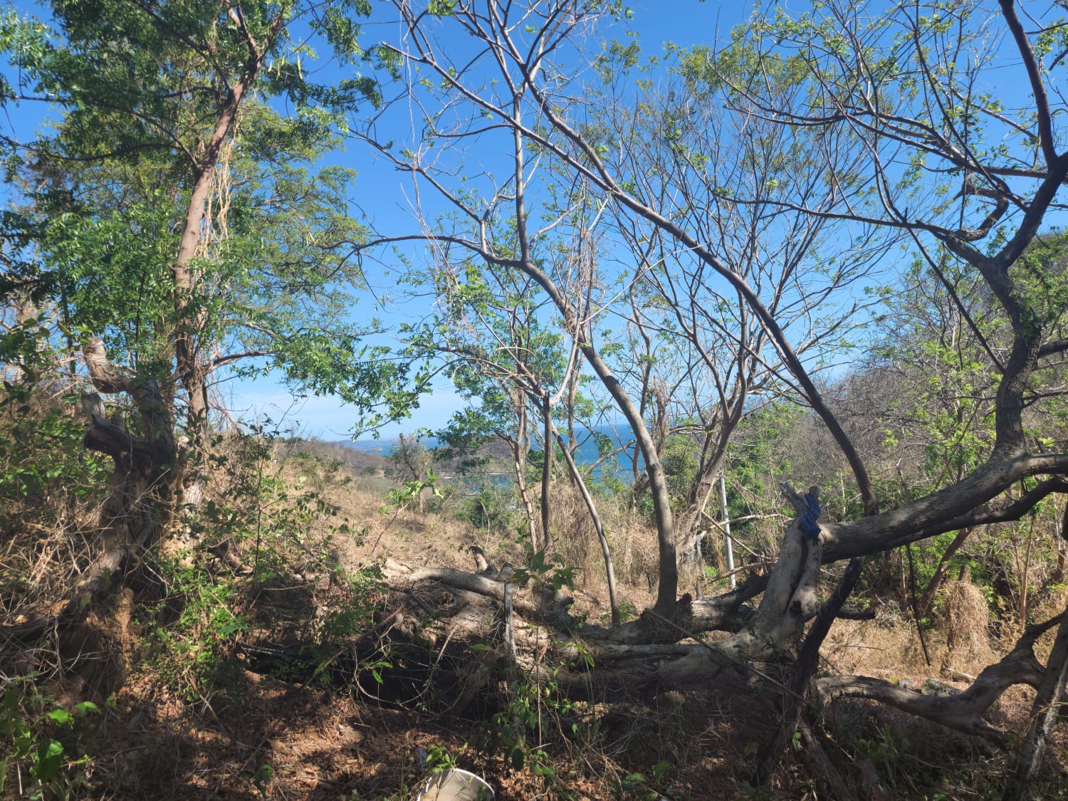 Oceanview Lot Just 5 Minutes from Town at Brisas del Pacifico, San Juan del Sur San Juan del Sur, Rivas, Nicaragua - Image 13