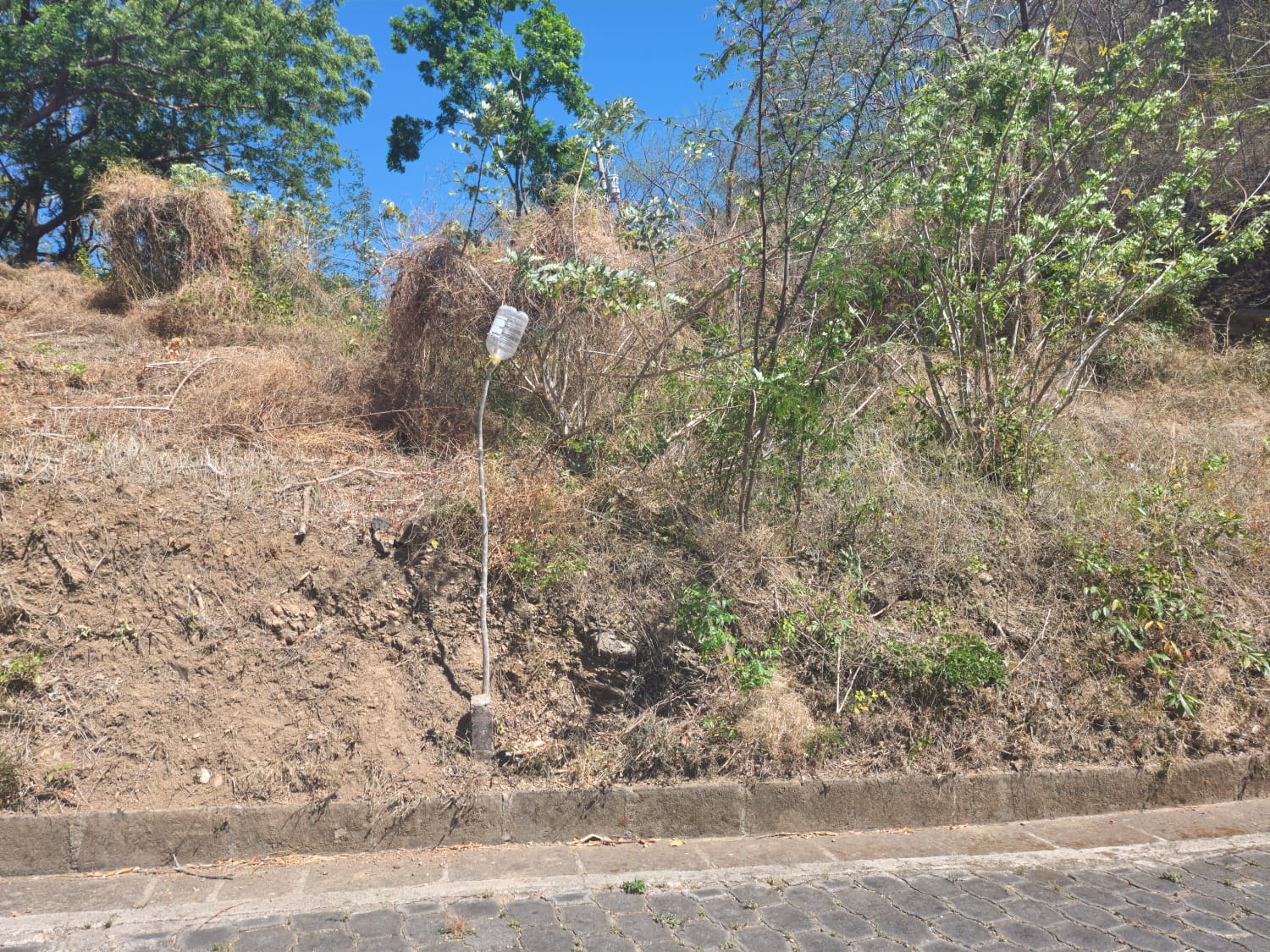 Oceanview Lot Just 5 Minutes from Town at Brisas del Pacifico, San Juan del Sur San Juan del Sur, Rivas, Nicaragua - Image 15