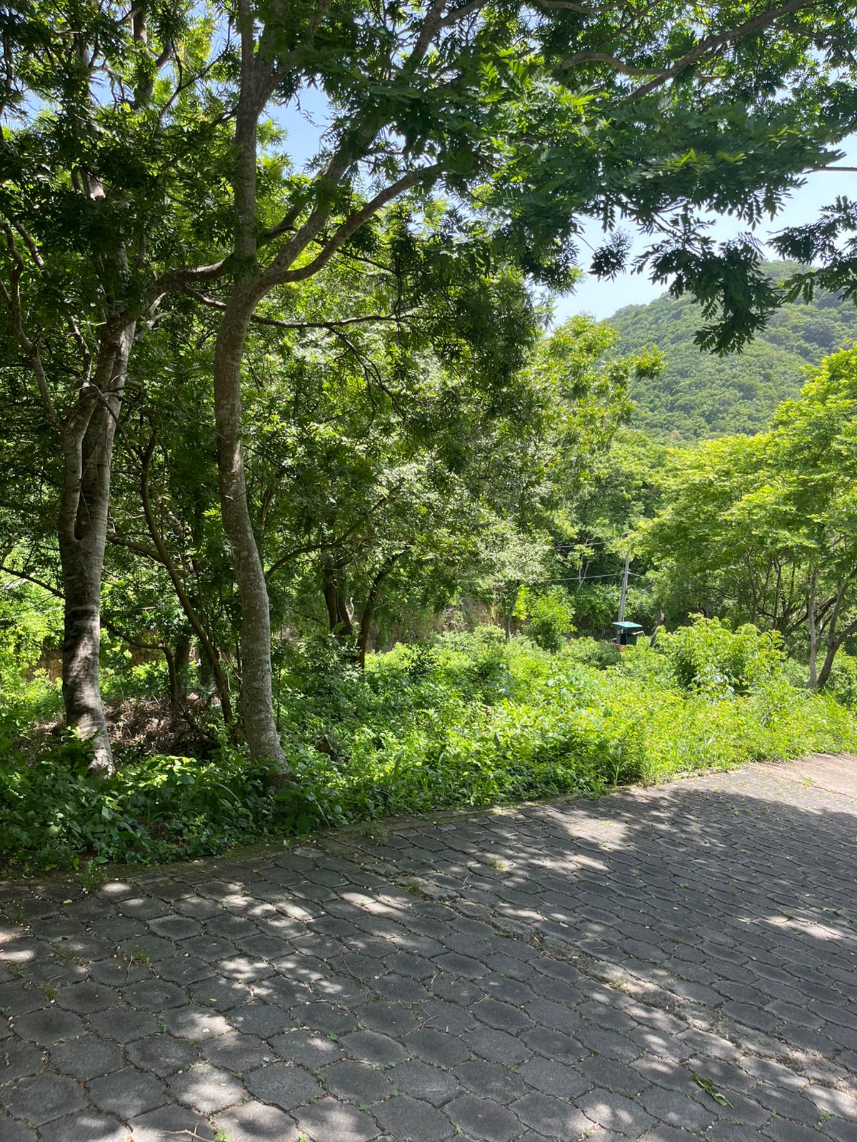 Oceanview Lot Just 5 Minutes from Town at Brisas del Pacifico, San Juan del Sur San Juan del Sur, Rivas, Nicaragua - Image 23
