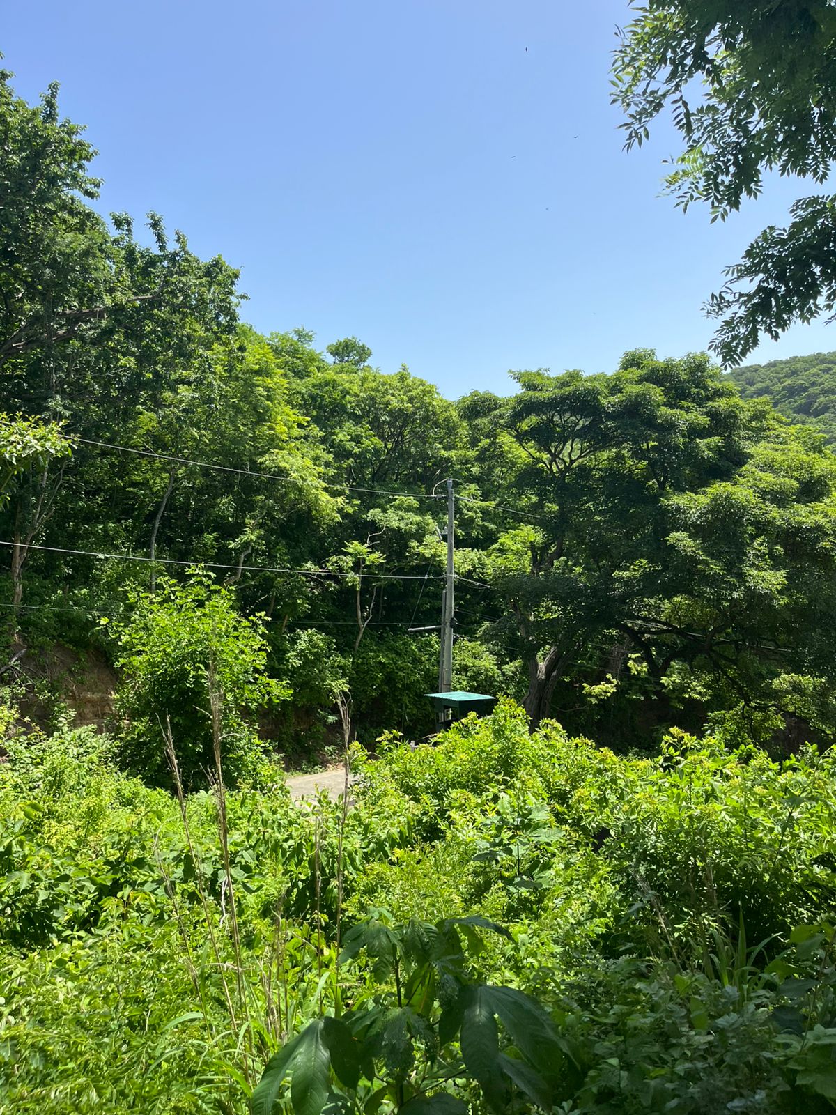Oceanview Lot Just 5 Minutes from Town at Brisas del Pacifico, San Juan del Sur San Juan del Sur, Rivas, Nicaragua - Image 26