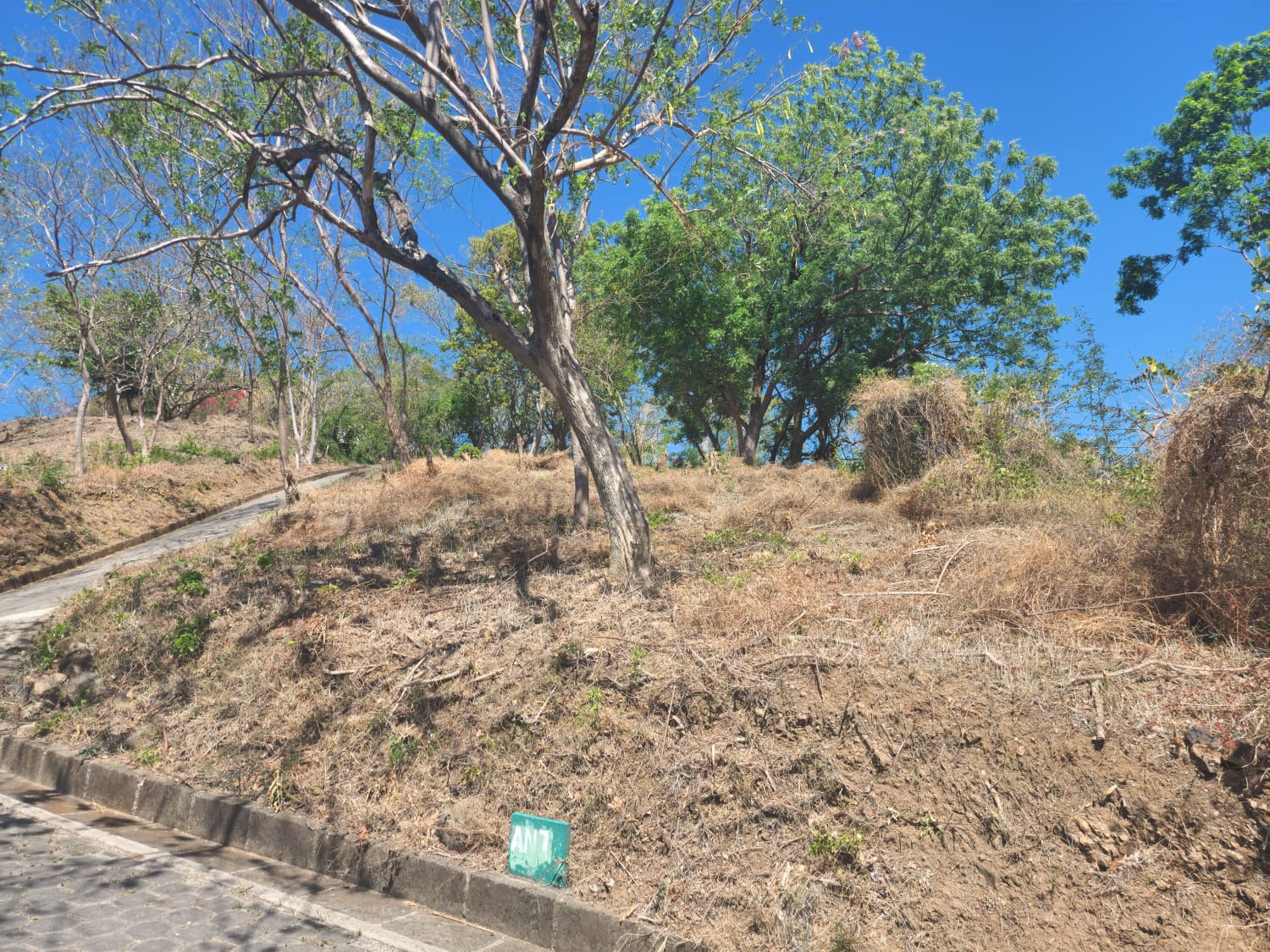 Oceanview Lot Just 5 Minutes from Town at Brisas del Pacifico, San Juan del Sur San Juan del Sur, Rivas, Nicaragua - Image 3