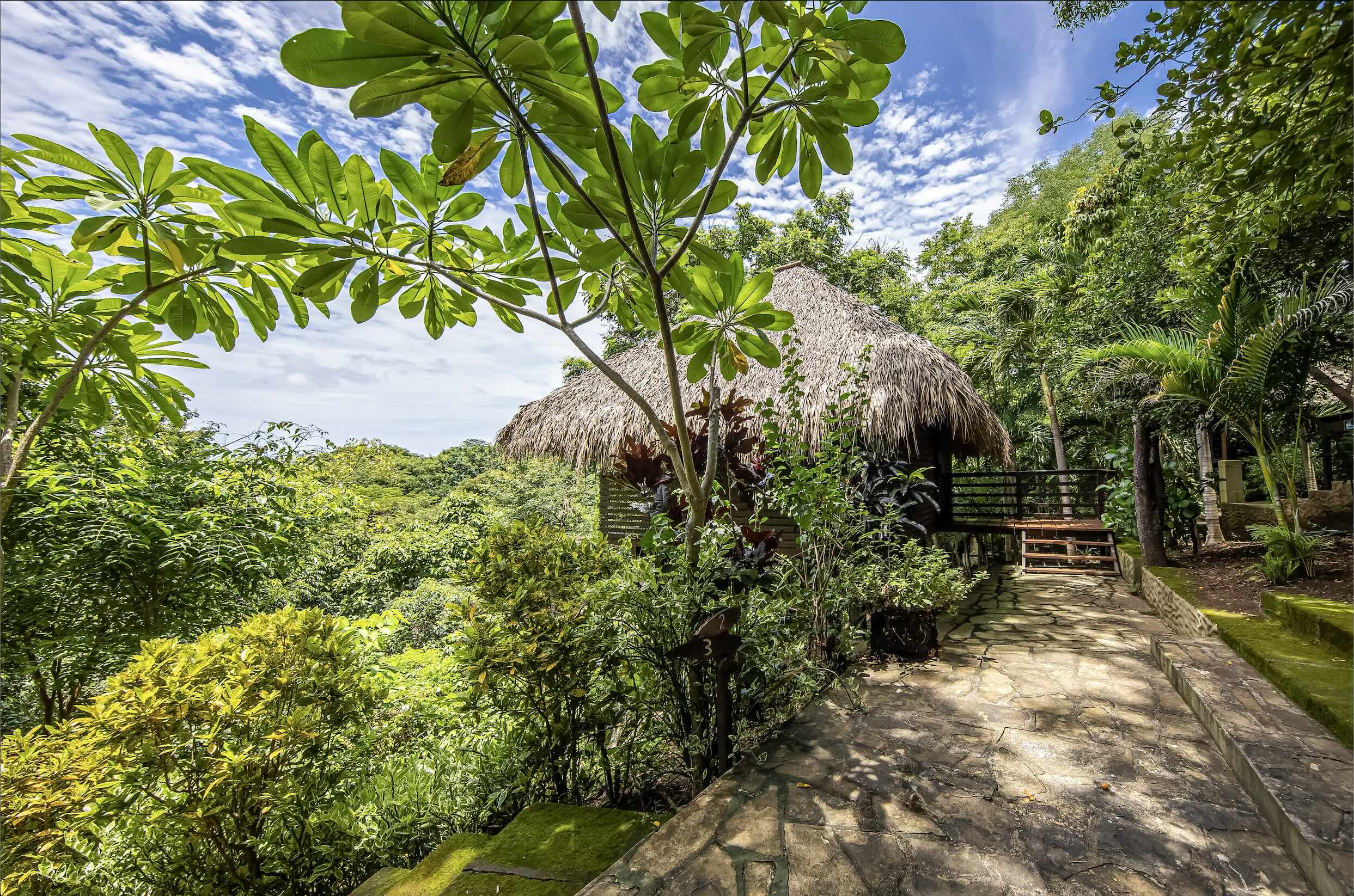 The Entrepreneurial Lifestyle Awaits At Buena Vista Surf Club - Image 17