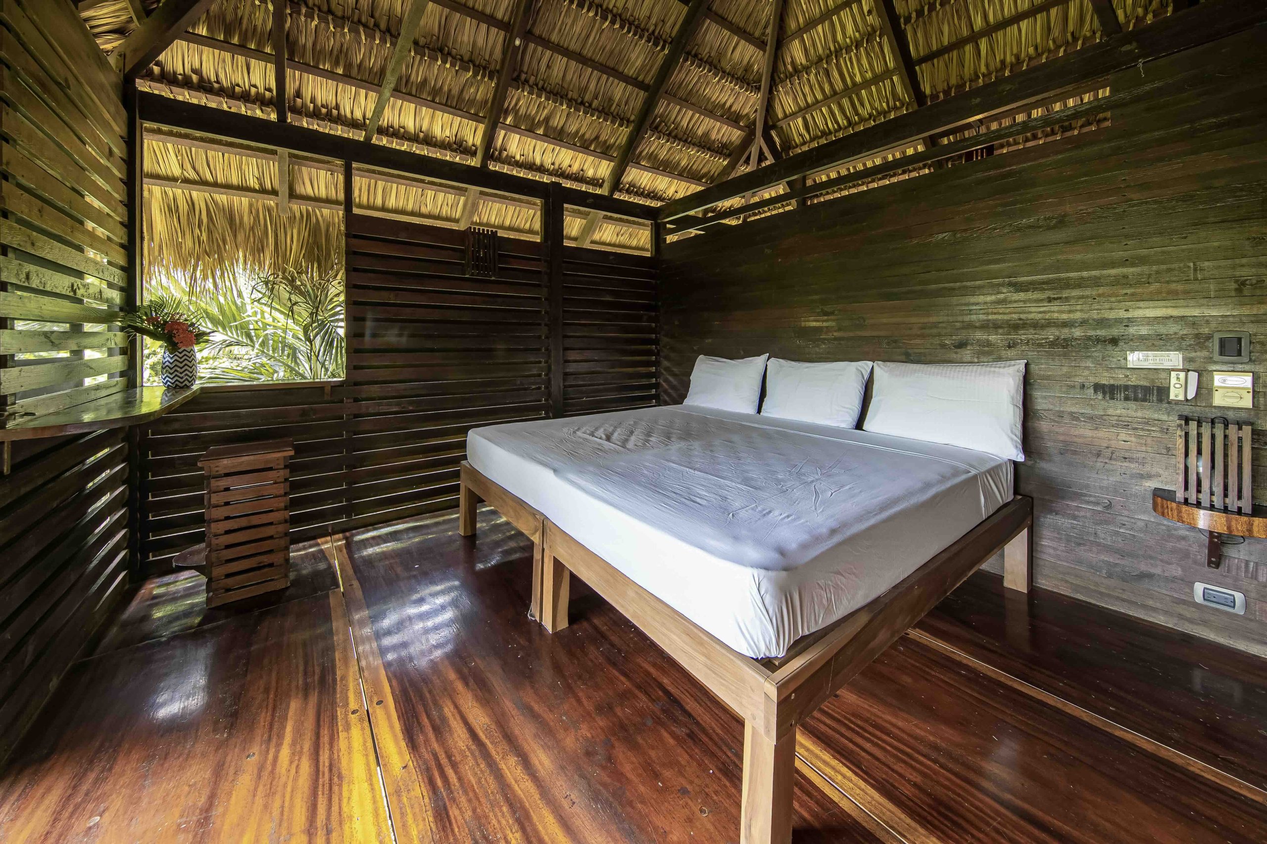 The Entrepreneurial Lifestyle Awaits At Buena Vista Surf Club - Image 18