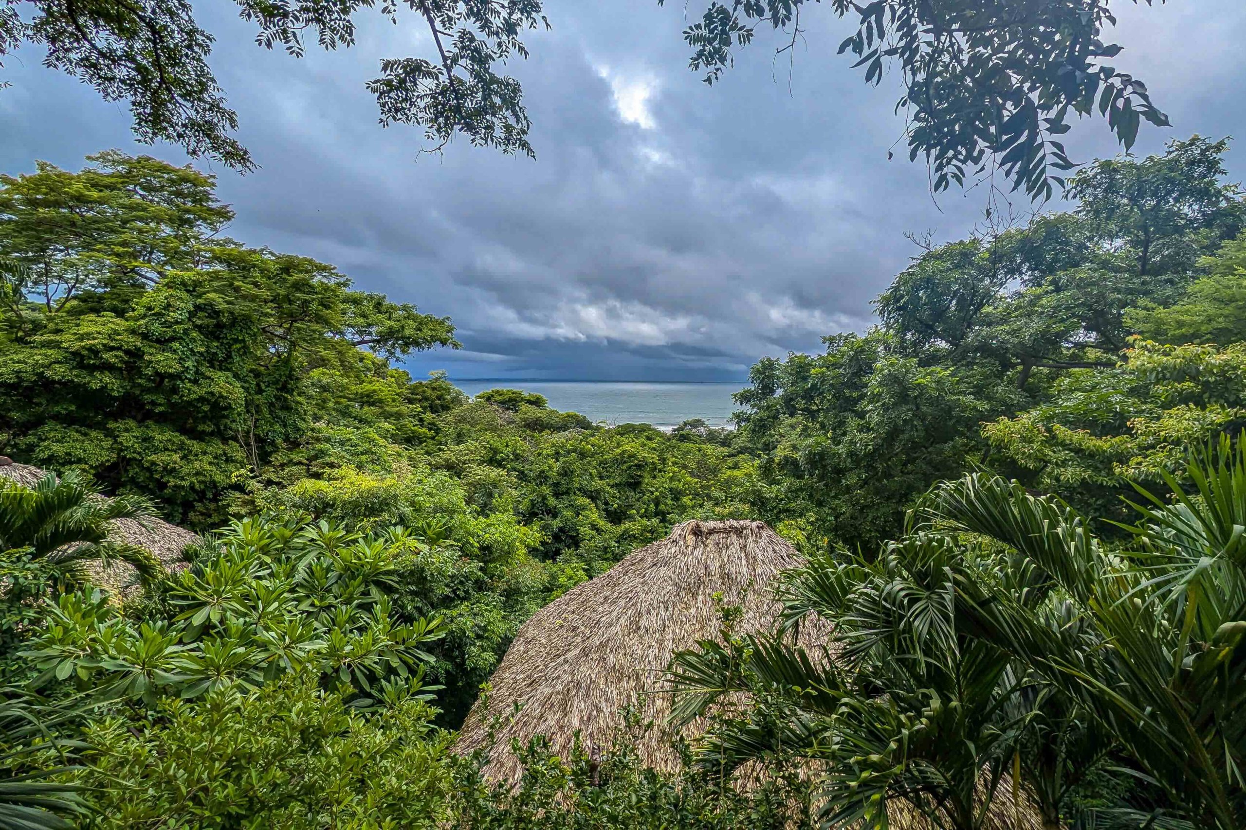 The Entrepreneurial Lifestyle Awaits At Buena Vista Surf Club - Image 8