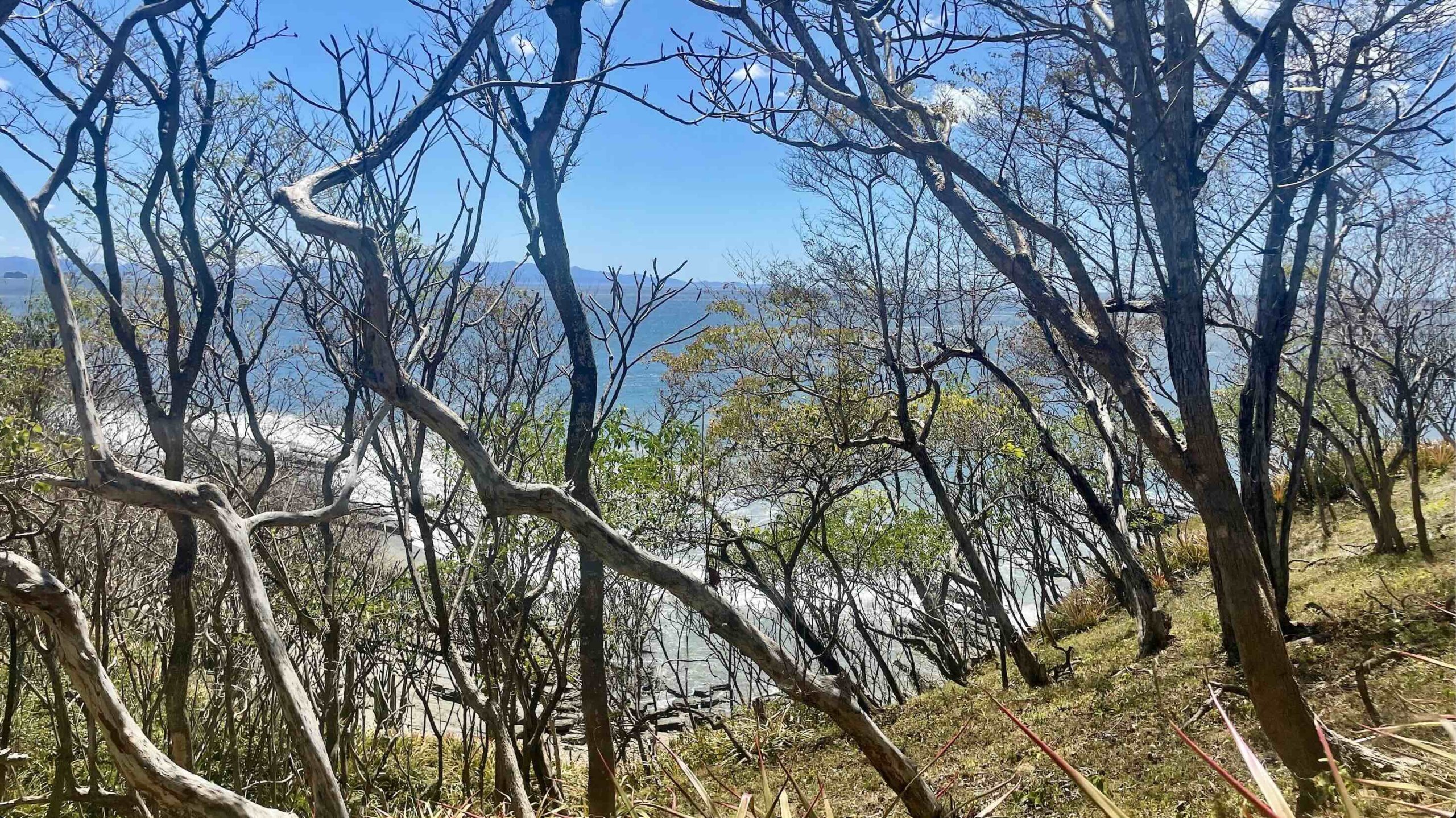 Waterfront Lot in Costa Dulce in San Juan Del Sur, Nicaragua - Image 7