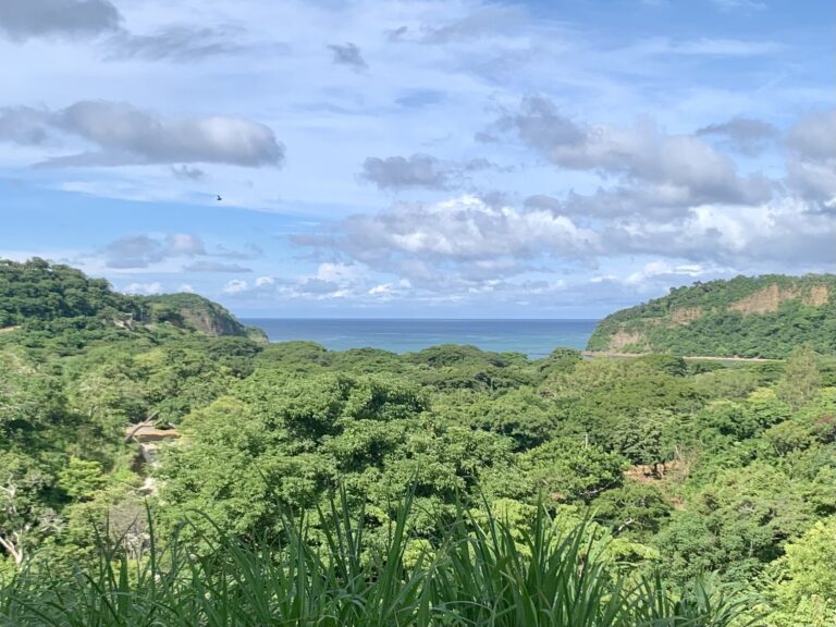 Price Updated! Your Dream Ocean View Homesite Awaits in El Encanto del Sur