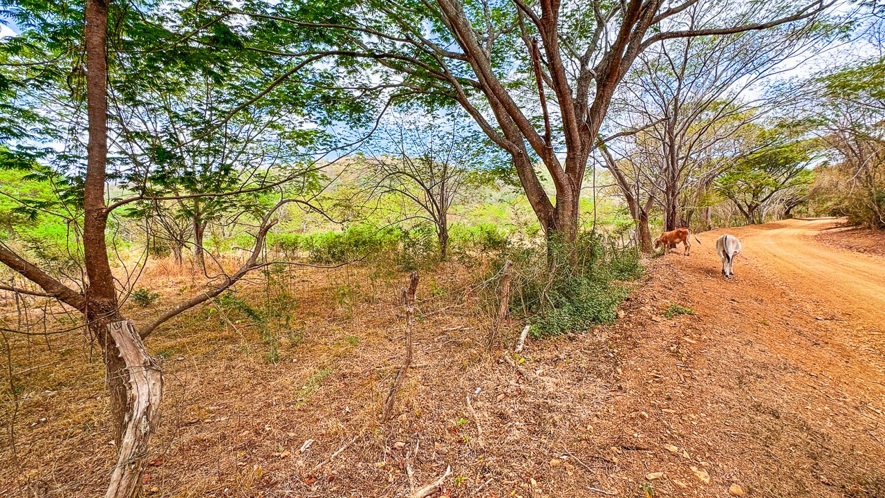 Off-Grid 4.25 Acres in Fincas de Escamequita - Image 9