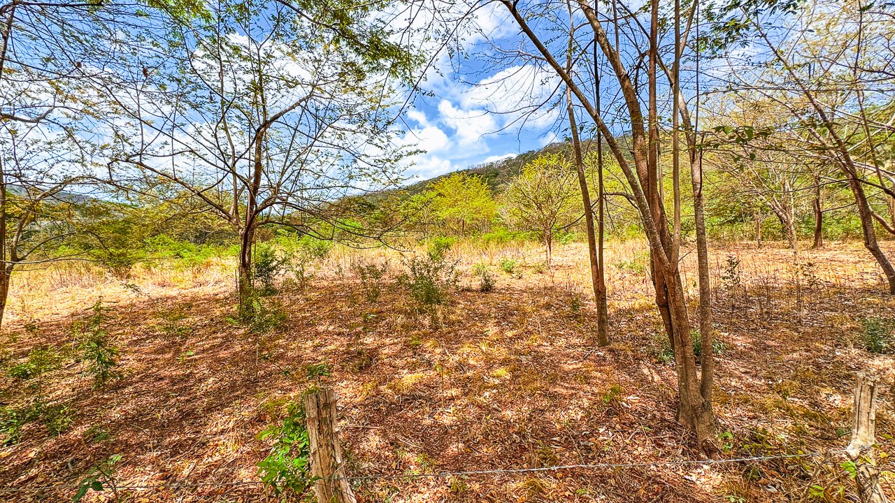 Off-Grid 4.25 Acres in Fincas de Escamequita - Image 8