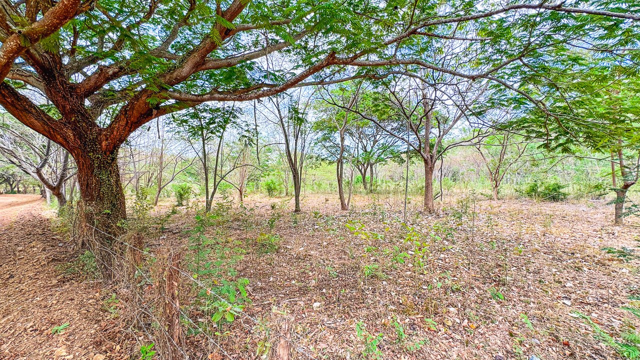 Off-Grid 4.25 Acres in Fincas de Escamequita - Image 6